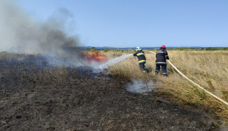 Dislokacija-Zaton-2021-3