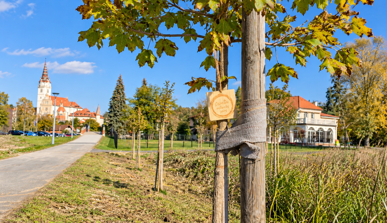 Projekt Croatia Naturaly Yours (2)