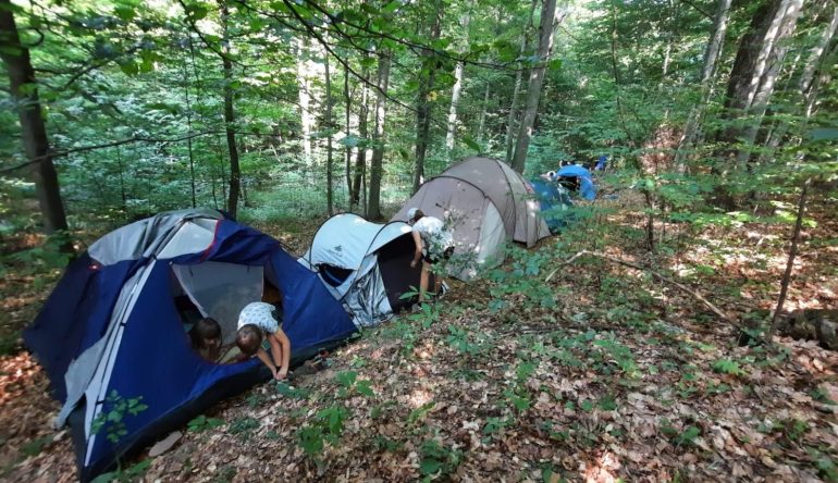 STREAM_Forest-camp-1536x864