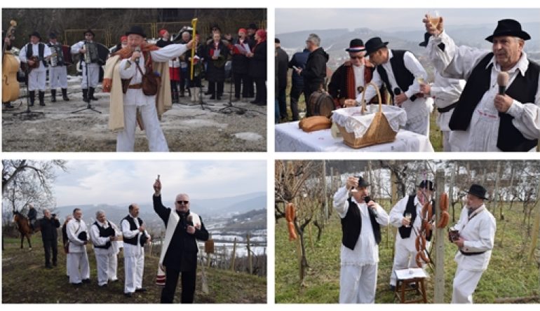 Vincekovo 26 MB FotoJet