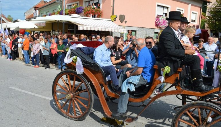 Vozocasce-Marija-Bistrica-2017jpg