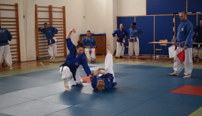 Zavrsio-15.-Memorijalni-nanbudo-turnir-Zdravko-Mikus-2017.3