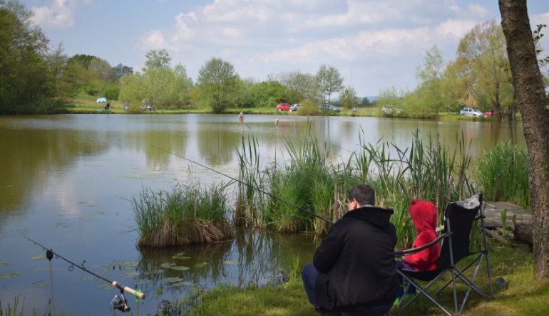 srd-saran-mb-arhiva-1