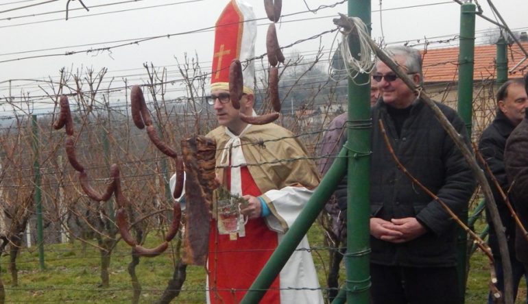 vincekovo-v-vrh-2016-10