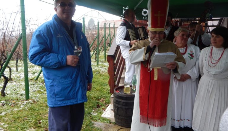 vincekovo-vinski-vrh-2015-